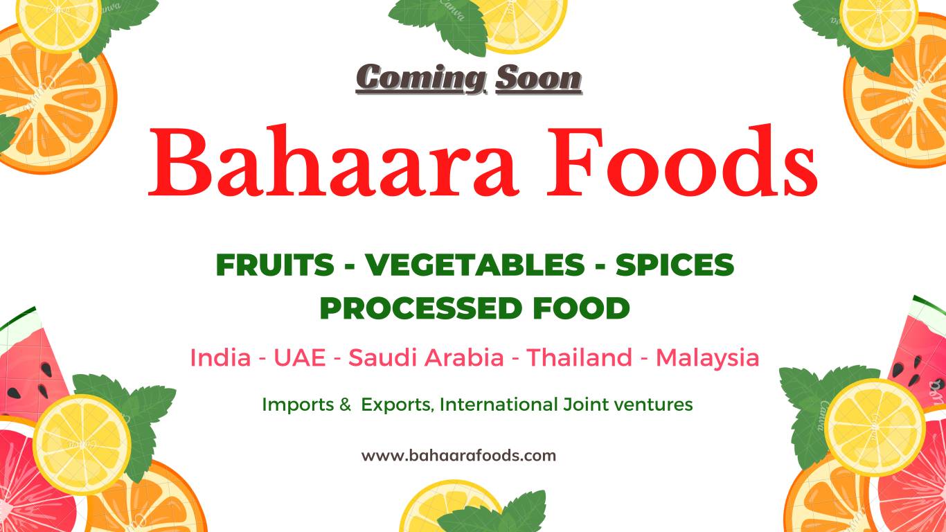 Bahaara Foods